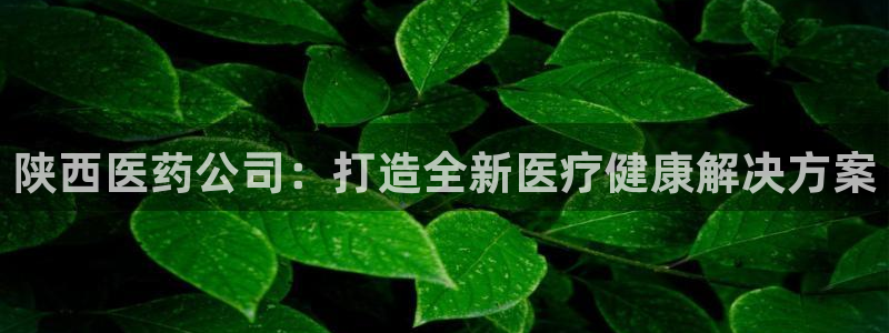 九游会登录网址多少